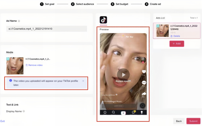 TikTok Ads Preview
